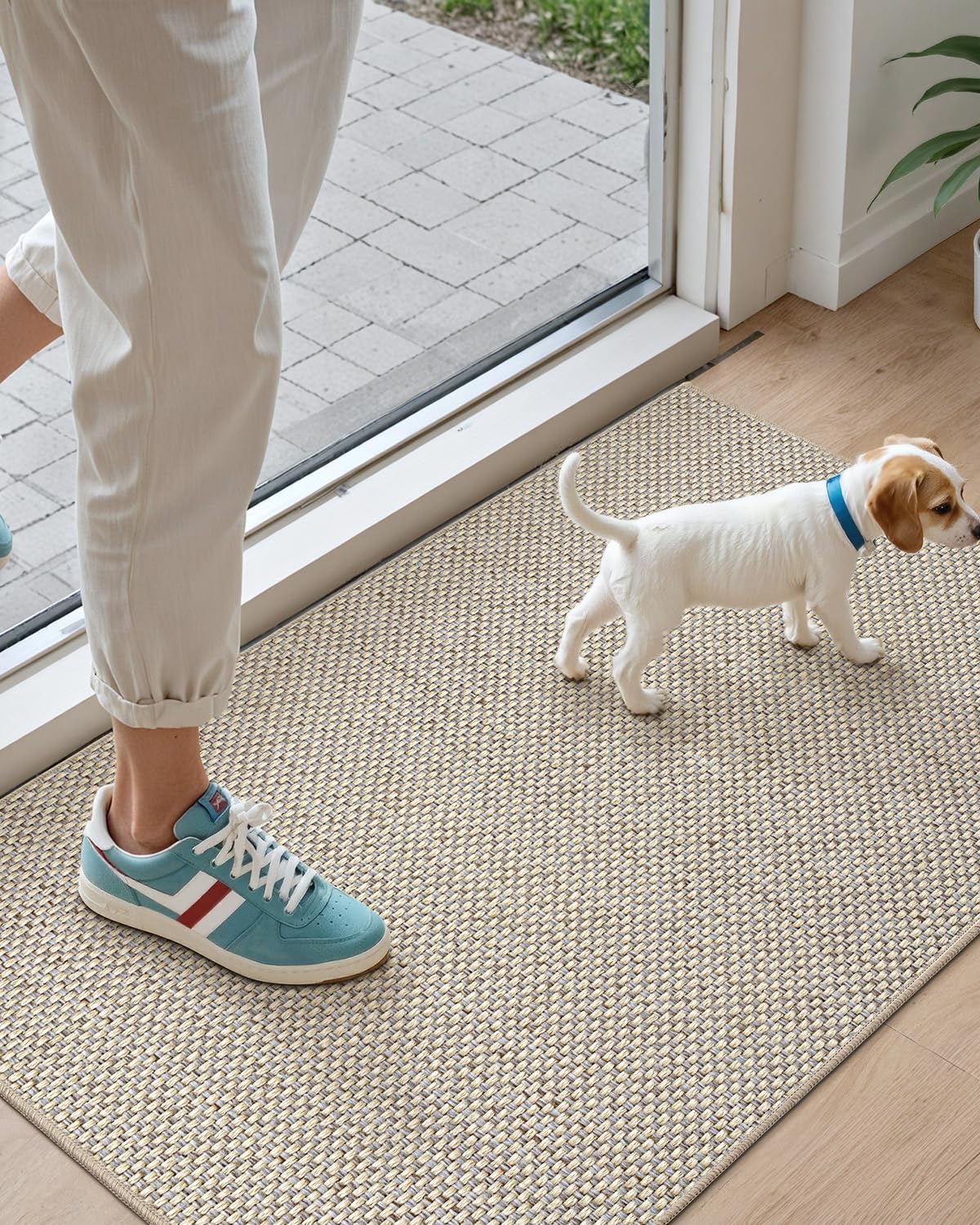 DEXI Ultra Thin Door Mat Indoor Entrance 24x36, Non Slip Rubber Backed Entryway Mats Dirt Trapper, Low Profile Front Doormat for Inside Entry, Patio, Porch, Beige