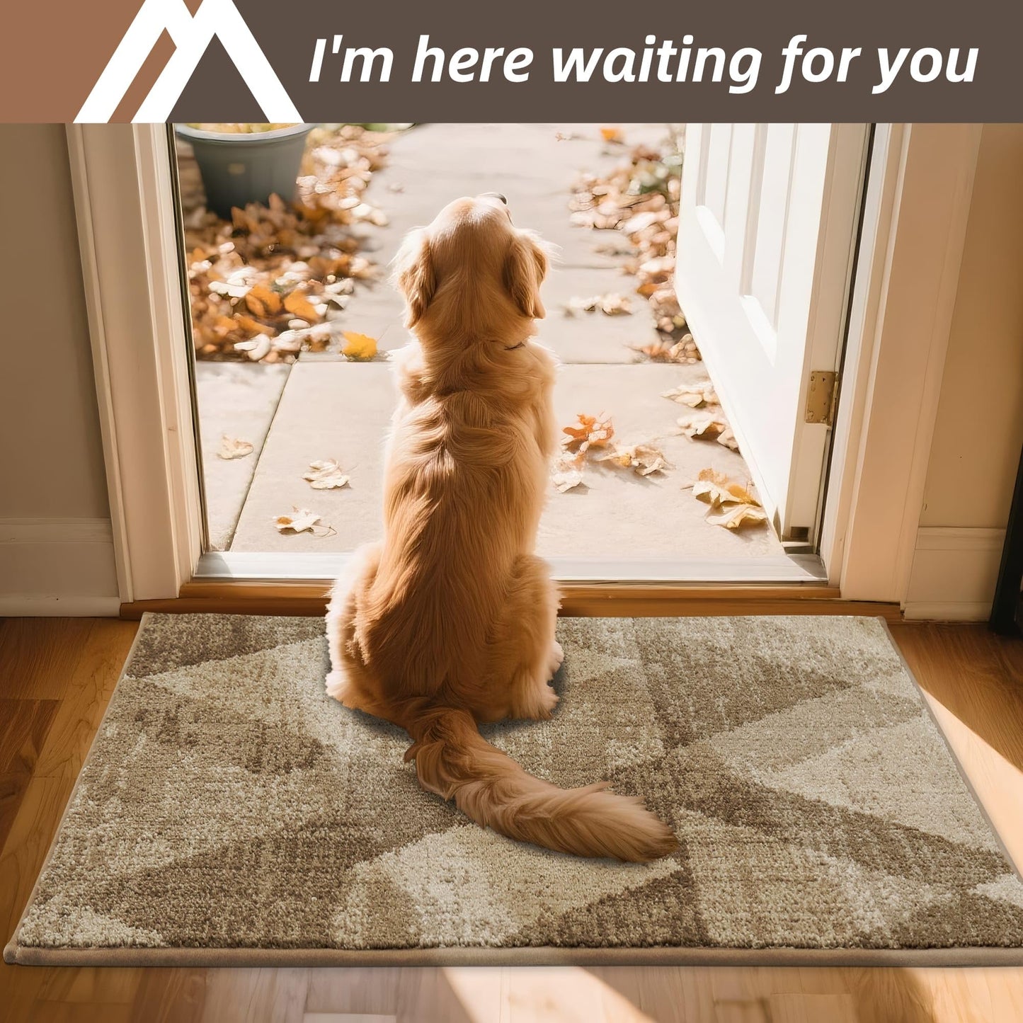 COSY HOMEER Entryway Rugs Doormat 32"x48", Non-Slip Absorbent Polyester, Washable Rugs for Front Door, Dirty Paws & High Traffic Areas, Beige