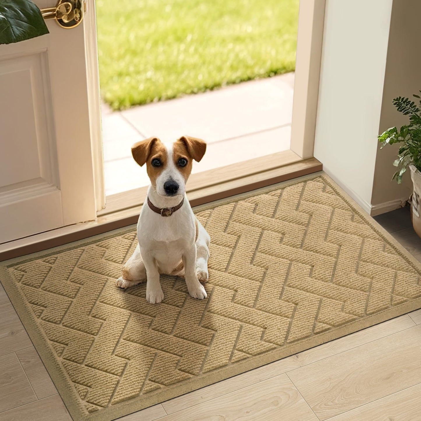 LEKEEPGO Door Mat Outside Entrance, Absorbent Indoor Outdoor Front Door Mats, Muddy Dirt Resist Outdoor Doormat, Non Slip Backing Low Profile Entryway Entry Floor Welcome Mat, 31.5"x47", Beige