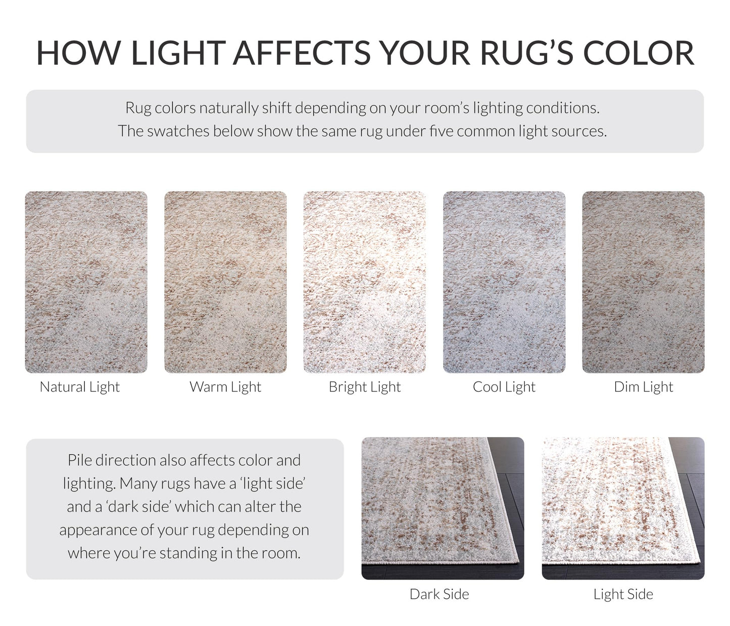 SAFAVIEH Area Rug 8x10 - Evoke Collection - Large - Ivory & Taupe, Distressed Design, Non-Shedding & Easy Cleaning, Ideal for Living Room, Bedroom, Dining Space (EVK256E)