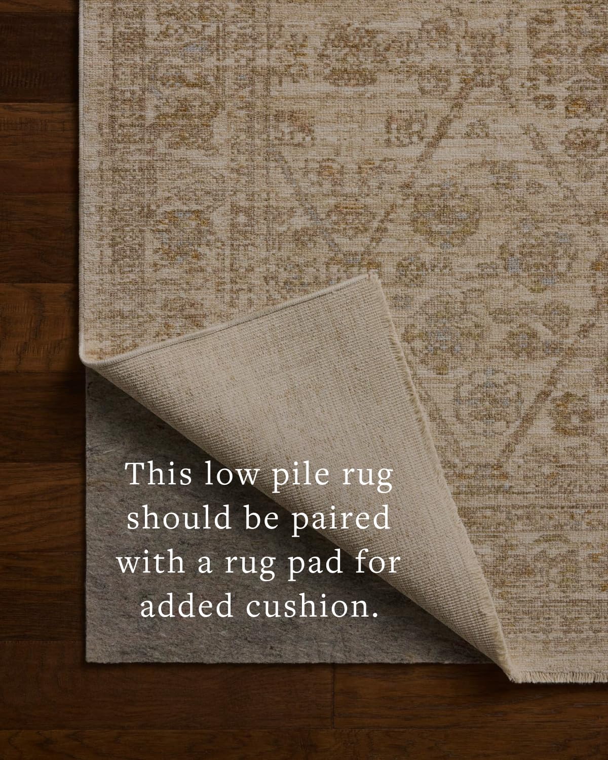 Loloi Elora Collection ELR-01 Ivory/Multi 5'-0" x 7'-6" Area Rug