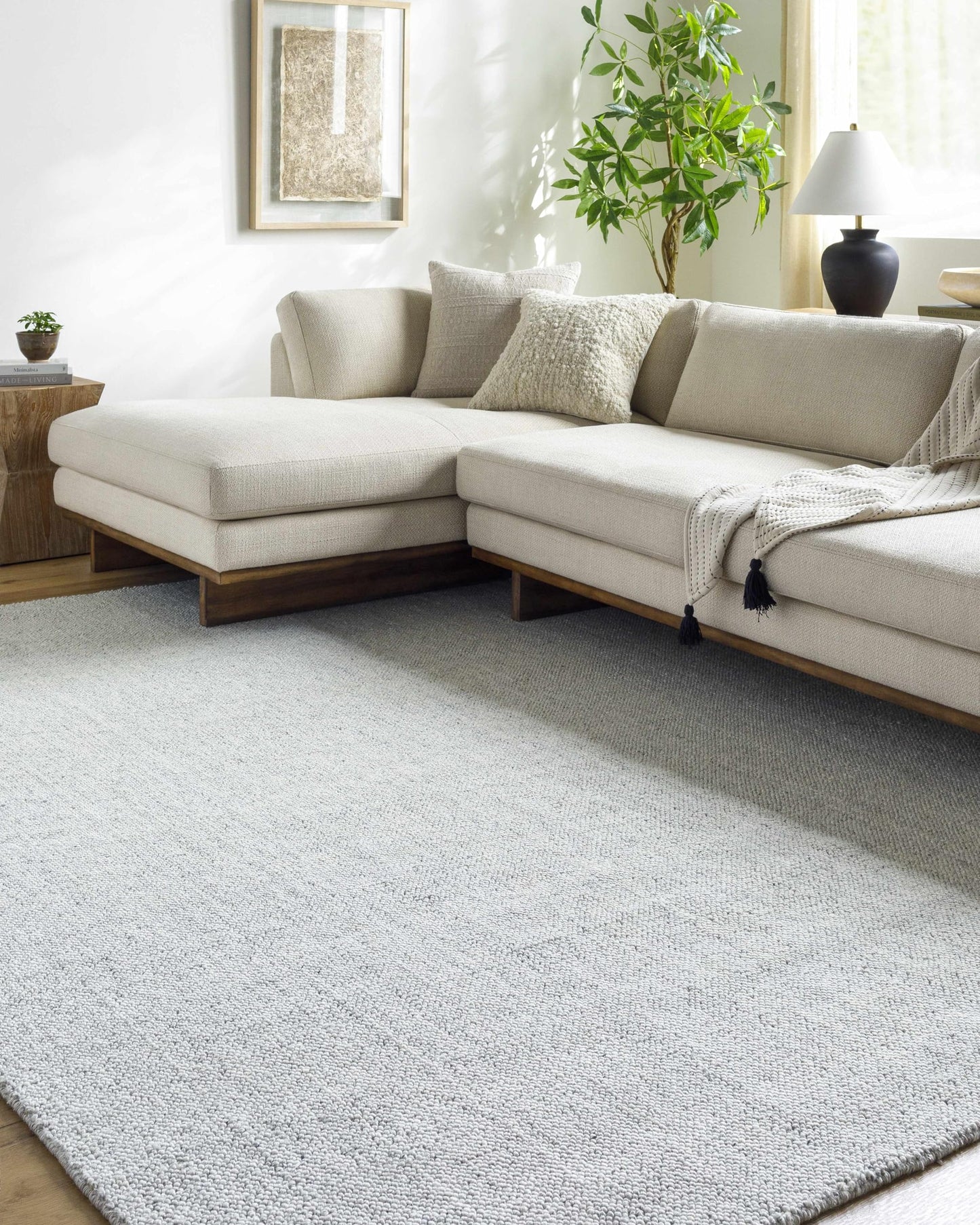 Hauteloom Zircon Recycled Material Living Room, Bedroom Area Rug - Solid Plain Textured - Traditional Transitional Modern Minimalist Contemporary - Silver Gray, Dove Gray, Frost, Gray, Light - 2' x 3'
