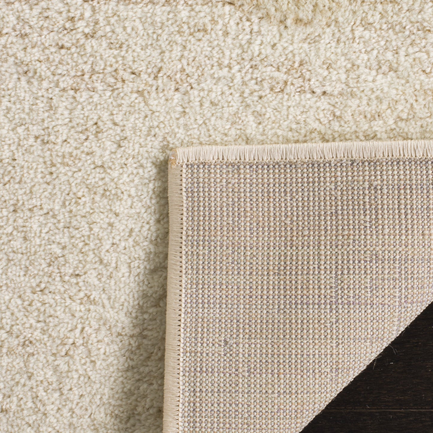SAFAVIEH Area Rug 9x12 - Adirondack Collection - Large - Champagne & Cream, Modern Ombre Design, Non Shedding & Easy to Clean, Ideal for Living Room, Bedroom, Office, Dining Space (ADR113W)