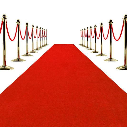 Extra Thick Red Carpet Runner 3x10 ft,Non-Slip TPR Rubber Backing 450 GSM Non-Slip Waterproof Aisle Rug for Weddings, Parties, Events, Graduation & Award Events
