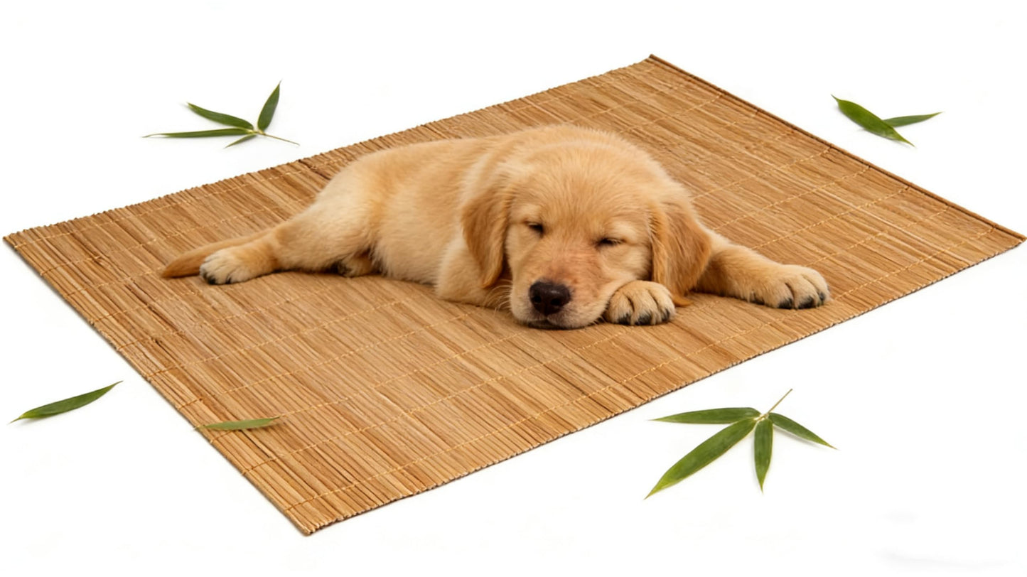 1PCS Dining Table Kitchen Placemat, Heat-Resistant Place Mat Stain Resistant Anti-Skid Washable Bamboo Table Mat Placemat Kitchen Table mat