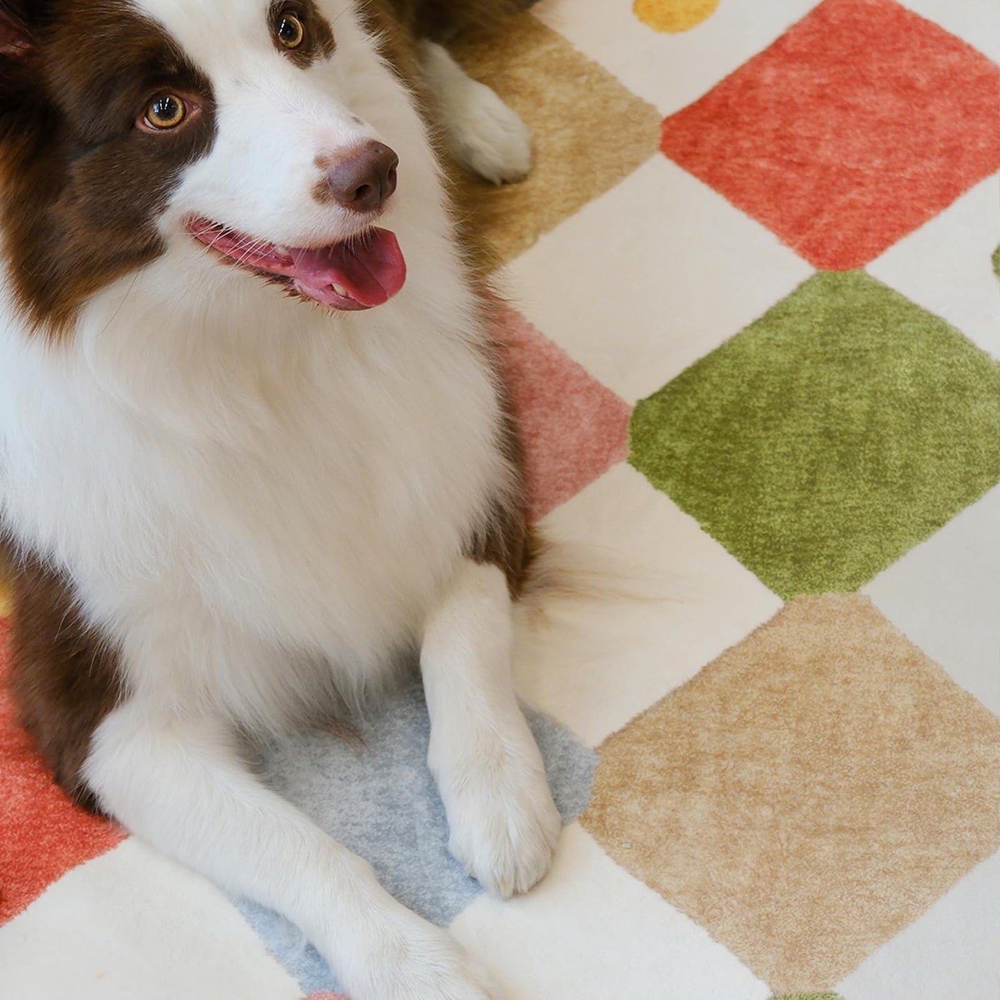 jinchan Macy 5x7 Area Rug for Kids Room Modern Colorful Nursery Rug Checkered Diamond Play Mat Washable Soft Non Slip Carpet for Playroom Classroom Bedroom Dorm Daycare Living Room Circus on Cream