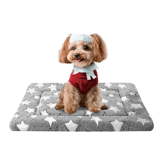 Fogkiss Dog Bed Mat, Reversible Crate Pad & Cute Dog Bed - Machine Washable Kennel Mat with Ultra Soft for Small Dogs (Cool/Warm), 24" x 18", Grey&Star