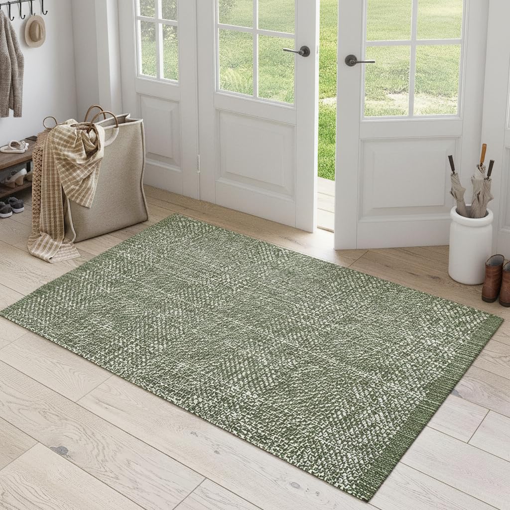 LEEVAN Washable Kitchen Rugs 3x5, Green Bedroom Rug, Cotton Woven Entryway Rug, Modern Braided Door Mat, Farmhouse Living Room Rugs, Reversible Carpet for Laundry Room Front Porch Outdoor Doormat