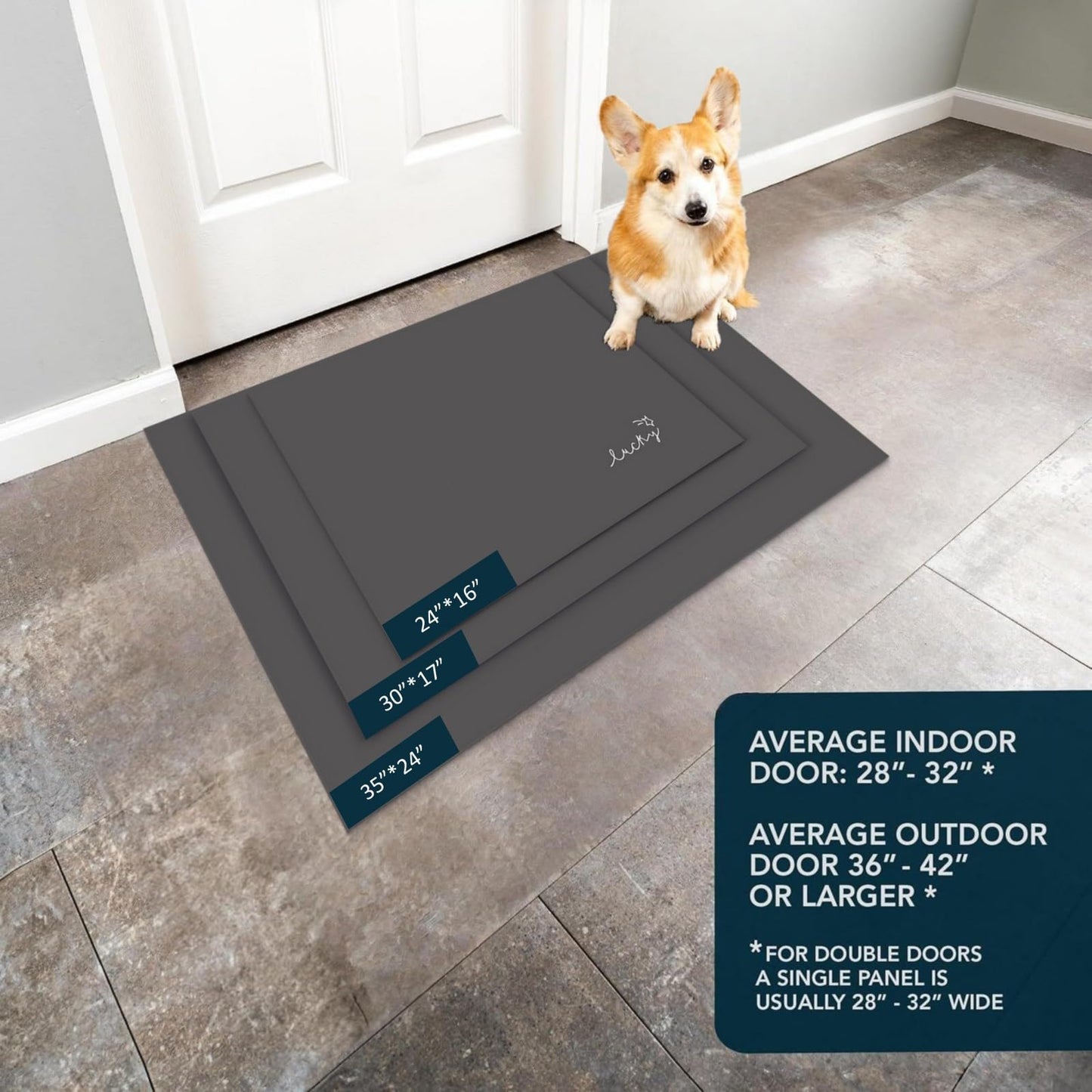 LYGLIGH Ultra Thin Door Mat Indoor Entrance, 1/10 in Thin Door Mats for Inside Entry, Non-Slip Rubber Backing Washable Doormat, Fade Resistant, Absorbent Dirt Trapper, 24"X16", Dark Grey