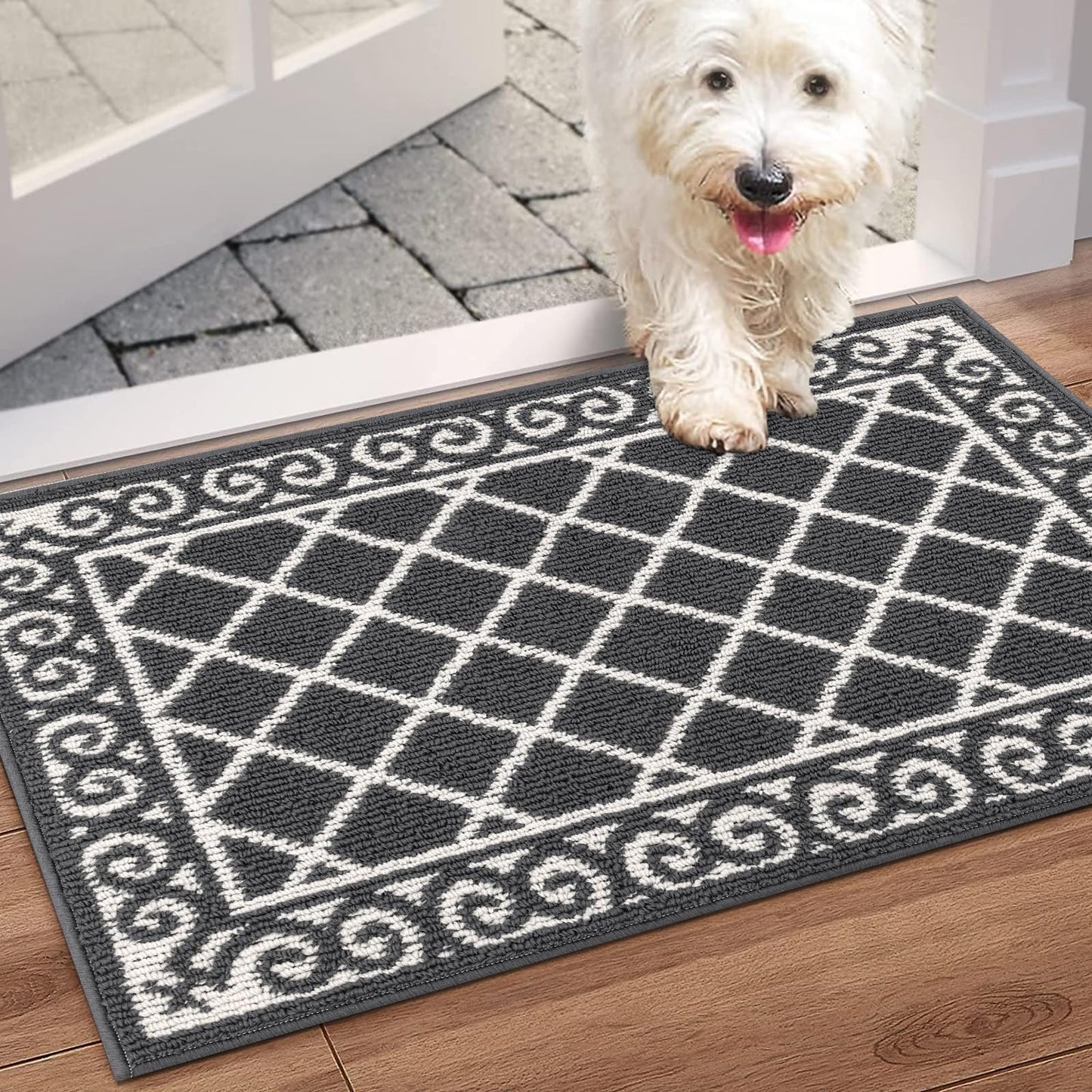 HEBE Indoor Door Mat 24"x36" Non Slip, Washable Welcome Mats for Front Door Entrance, Low Profile Dirt Trapper Doormat Entry Carpet for Entryway, Kitchen, Bathroom
