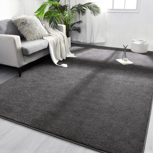FlyDOIT Area Rugs for Bedroom Living Room, 4x6 Dark Grey Super Soft Comfy Thickened Memory-Foam Indoor Carpets, Modern Aesthetic Minimalist Carpet for Boys Girls Adults Apartment Nursery Home Décor