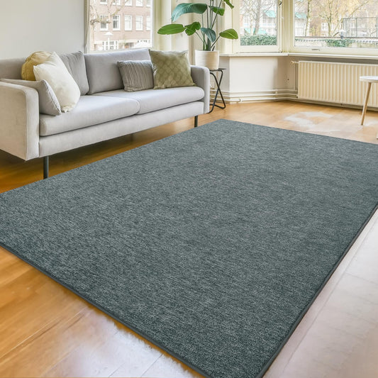Amearea Modern Soft 4x6 Area Rug for Living Room, Chic Color Washable Rugs for Bedroom, Home Decor Fluffy Carpet, Cute Accent Kids Rugs for Nursery Dorm Indoor Room Decor, Grey Green