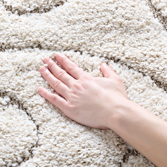 SAFAVIEH Florida Shag Collection Accent Rug - 3'3" x 5'3", Cream & Beige, Scroll Design, Non-Shedding & Easy Care, High-Low Plush Pile, Ideal for Living Room, Bedroom, Dining Space (SG455-1113)