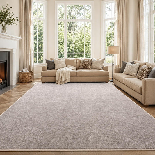 FinRèc 6x9 Washable Area Rugs for Bedroom Living Room, Low Pile Thin Rug Solid Color, Non-Slip Carpet Indoor for Home Decor (Oatmeal/White)