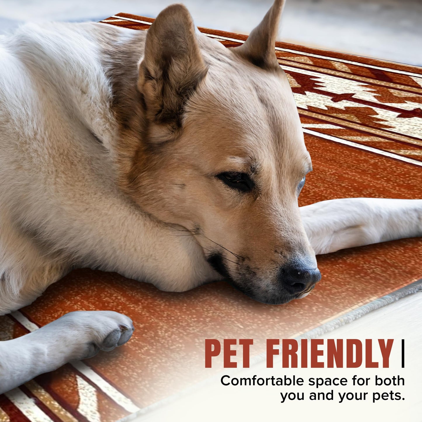 YHSF Southwestern Area Rug - Anti Static, Washable, Soft Native American Tribal Floor Rugs for Living Room, Bedroom, Hallways, and More - Easy-to-Clean Home Decors - Rust, 2 Feet x 3 Feet