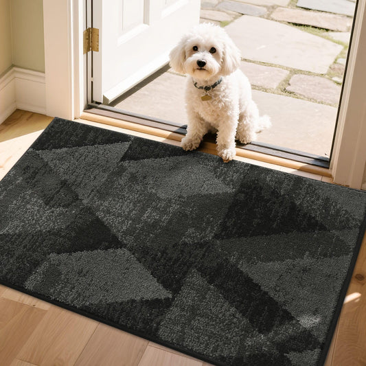 COSY HOMEER Entryway Rugs Doormat 24"x36", Non-Slip Absorbent Polyester, Washable Rugs for Front Door, Dirty Paws & High Traffic Areas, Dark Gray
