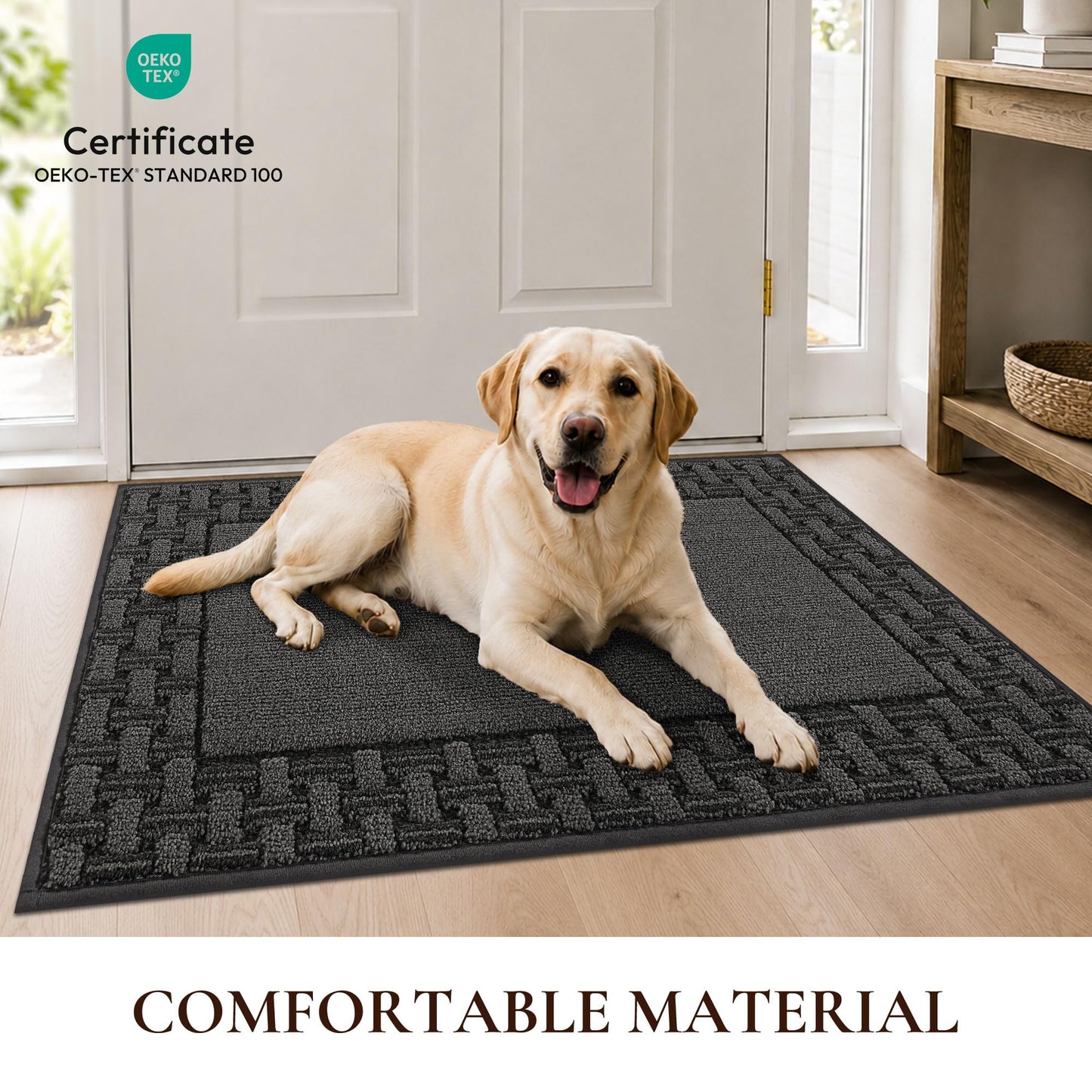 FLOORHUG Door Mat 20 x 32 in, Non Slip Washable Entryway Rugs with TPR Backing, Absorbent Dirt Trapping Low Profile Front Door Mat for Shoes and Dog Paws, Dark Grey