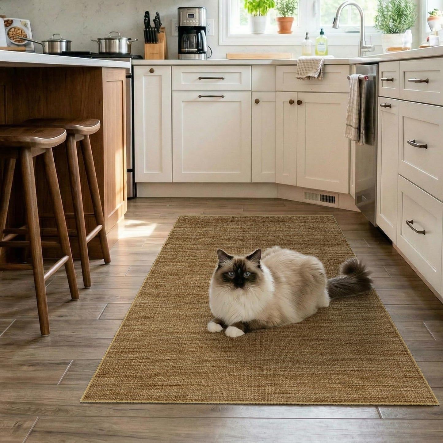 Jute 3x5 Kitchen Area Rugs: Washable Non Slip Entryway Rug with Rubber Backing Pet-Friendly Small Rugs Stain Resistant Carpet for Dining Room Laundry Porch Doorway Natural Brown