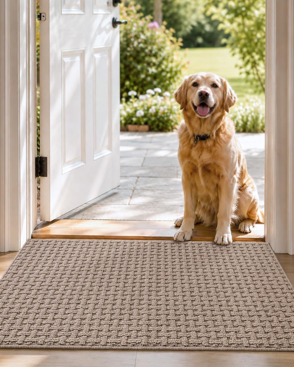 DEXI Indoor Front Door Mat Entryway Non Slip 36x60, Washable Entry Way Mats Inside Entrance, Welcome Doormat Dirt Trapper for House Floor Home Porter Hall Backdoor Area Light Taupe