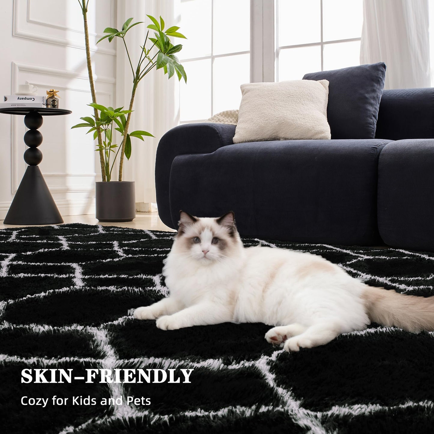 ARKIIKI Fluffy Rug for Bedroom Living Room, 4x6 Black and White Soft Area Rug, Machine Washable Shag Geometric Fuzzy Kids Non Slip Carpet Home Decor Aesthetic, Plush Floor Mat for Nursery Teen Dorm