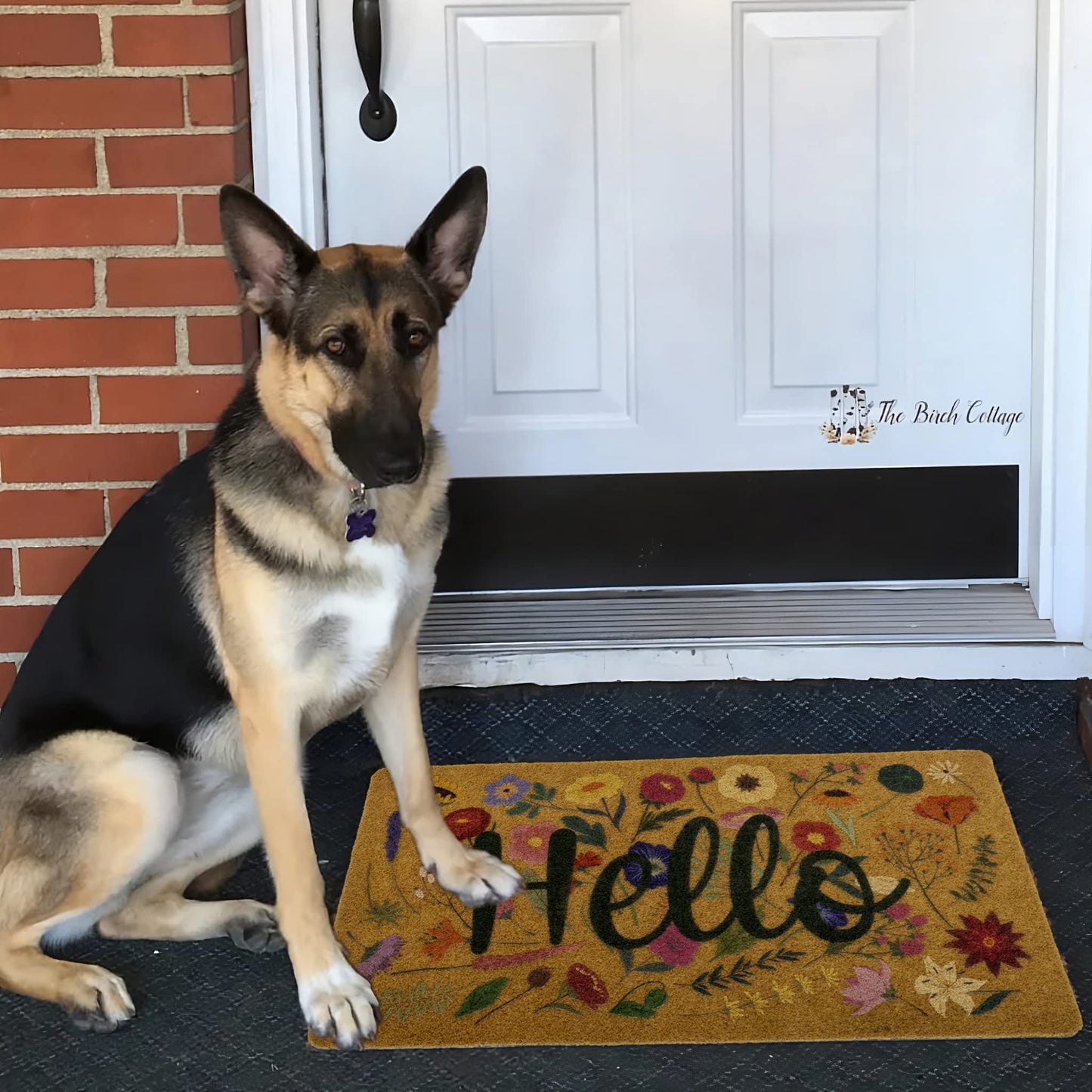 Eohak Spring Welcome Door Mats with Non-Slip Backing Flower Seasonal Door Mat for Farmhouse Door Mat Decoration 17 x 29 Inch
