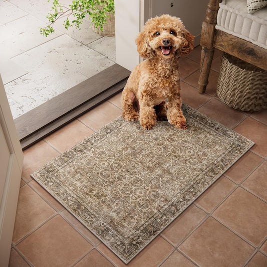 NoiFamo Machine Washable Entryway Small Area Rugs: Soft Non-Slip Low Pile Door Mat Indoor Entrance 2x3 ThrowRug for High-Traffic Areas Kitchen, Hallway, Farmhouse Decor