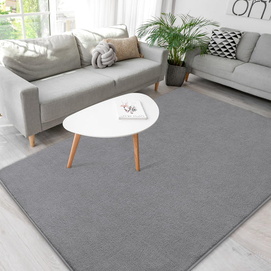 B BENRON Soft Rugs for Living Room 4x6 Grey, Minimalist Area Rug for Bedroom Nursery Dining Table Dorm, Throw Rugs for Men Boys Girls Kids Room Indoor Floor Carpets