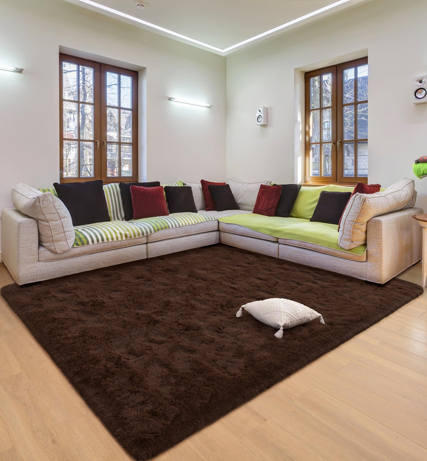DETUM Fluffy Area Rug Coffee 4x6 for Bedroom Soft Living Room Rug Large Washable and Nonslip Carpets Modern Home Decoration
