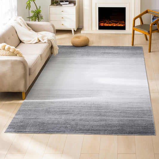 Carvapet 5x7 Ombre Grey Area Rug - Modern Low Pile Carpet Non Slip Rubber Backing, Washable Foldable Thin Decorative Living Room Rug for Bedroom