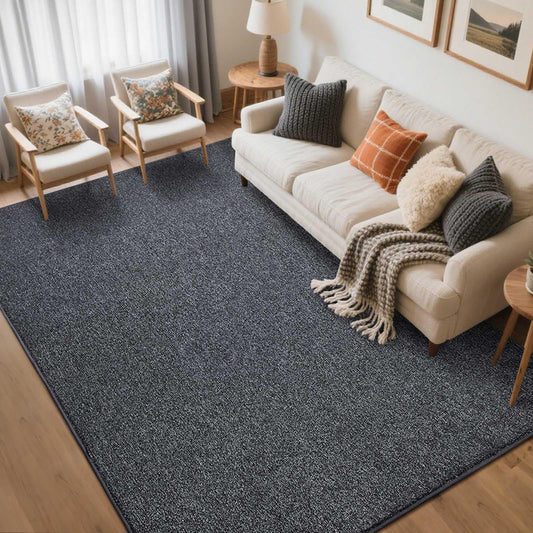FinRèc 5x7 Washable Area Rugs for Bedroom Living Room, Low Pile Thin Rug Solid Color, Non-Slip Carpet Indoor for Home Decor (Grey)