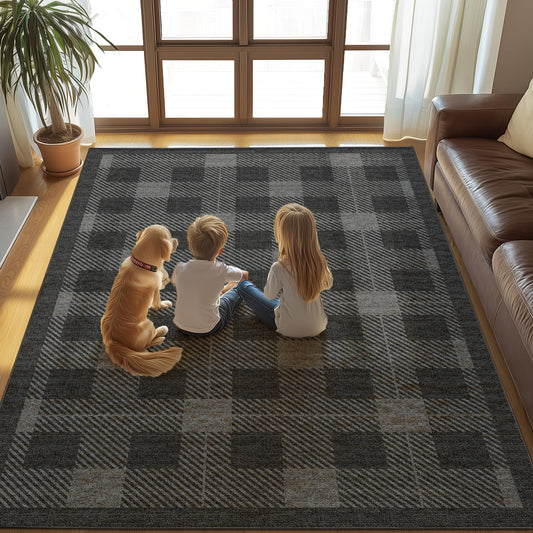 Washable 5x7 Checkered Rug for Living Room, Black Grey Checkerboard Modern Minimalist Large Foldable Area Rugs, Ultrathin Low Pile Soft Nonslip Indoor Carpet for Office Bedroom Playroom Classroom Dorm