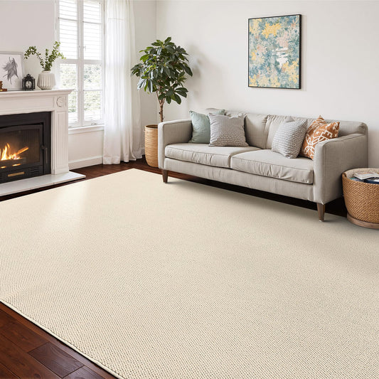 CHAMPLANT Washable Area Rug 5x7 Feet White Non Slip Living Room Kitchen Rugs Indoor Entryway Rug Floor Carpet for Dining Living Room Bedroom