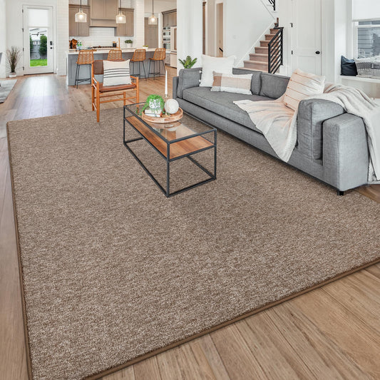 Chicrug Modern 3x5 Area Rugs for Bedroom Living Room, Memory Foam Low-plie Carpet Rug for Kids Playroom, Indoor Floor Rug for Bedside Dorm Dining Room Home Decor, Brown and White