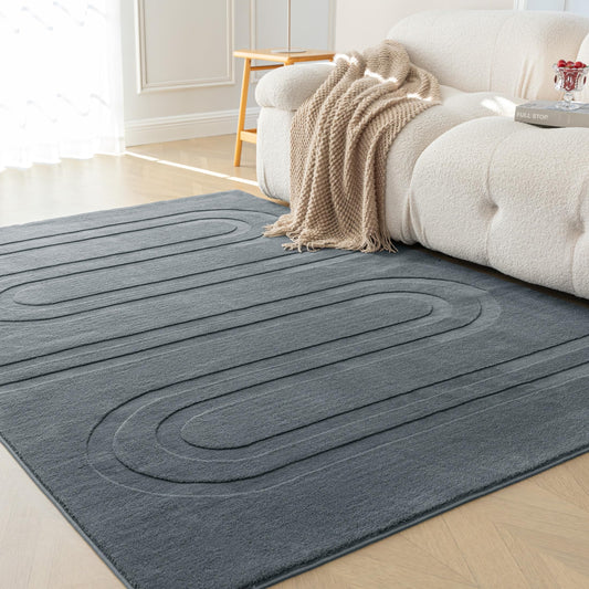 Amazon Basics Indoor Area Rugs, Soft-Touch Washable Home Decor Carpet for Living Room Bedroom, 7' L × 5' W, Modern Dark Grey