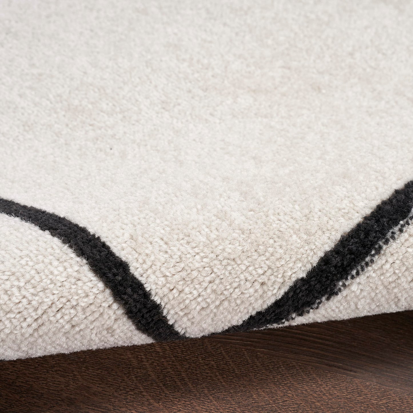 Nourison Home Nourison Essentials Ivory/Black 6' x 9' Area Rug - Easy Clean, Non Shedding, Bed Room, Living Room, Dining Room, Kitchen (6' x 9')