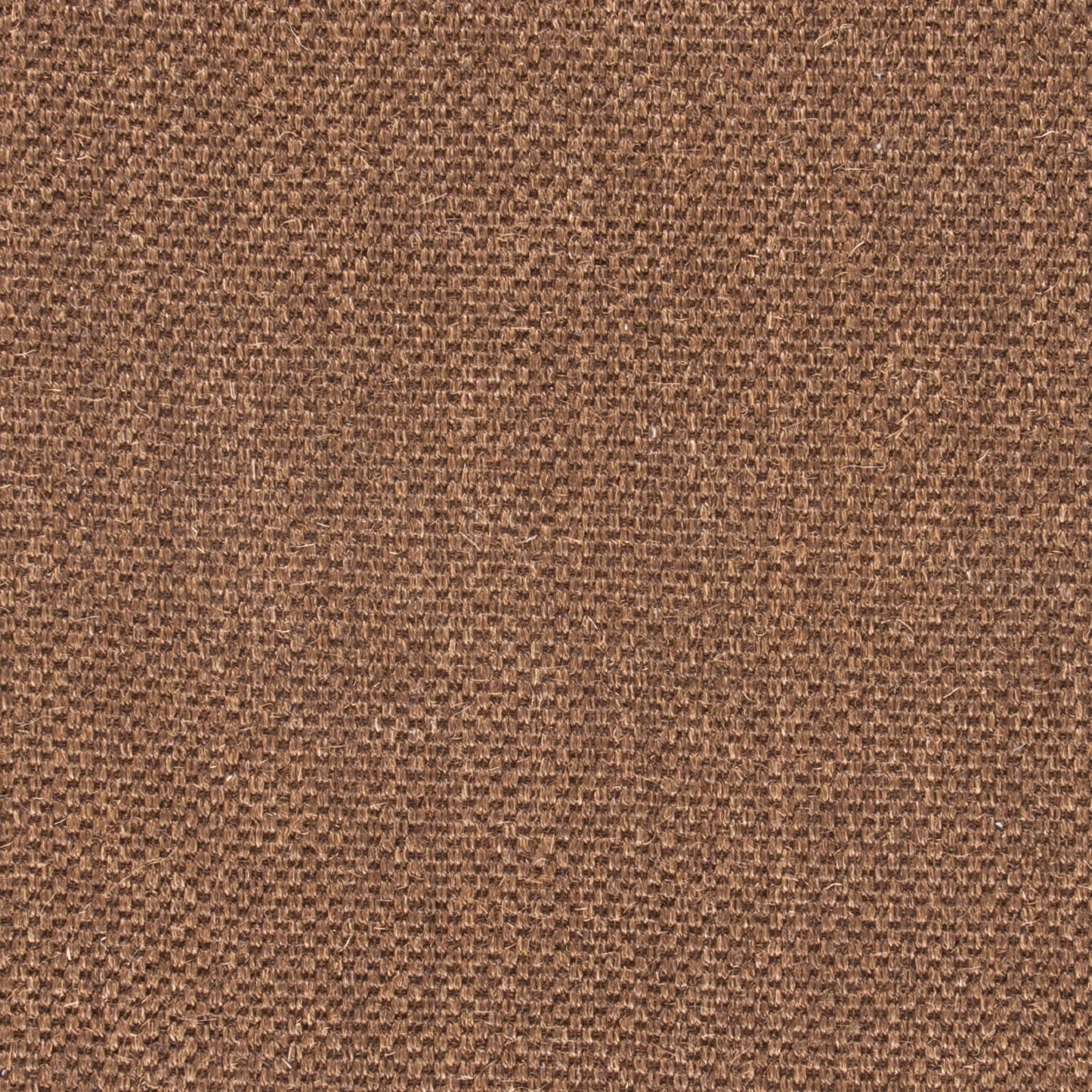 SAFAVIEH Area Rug 5x8 - Natural Fiber Collection - Brown, Sisal, Woven Design with Border (NF443D)