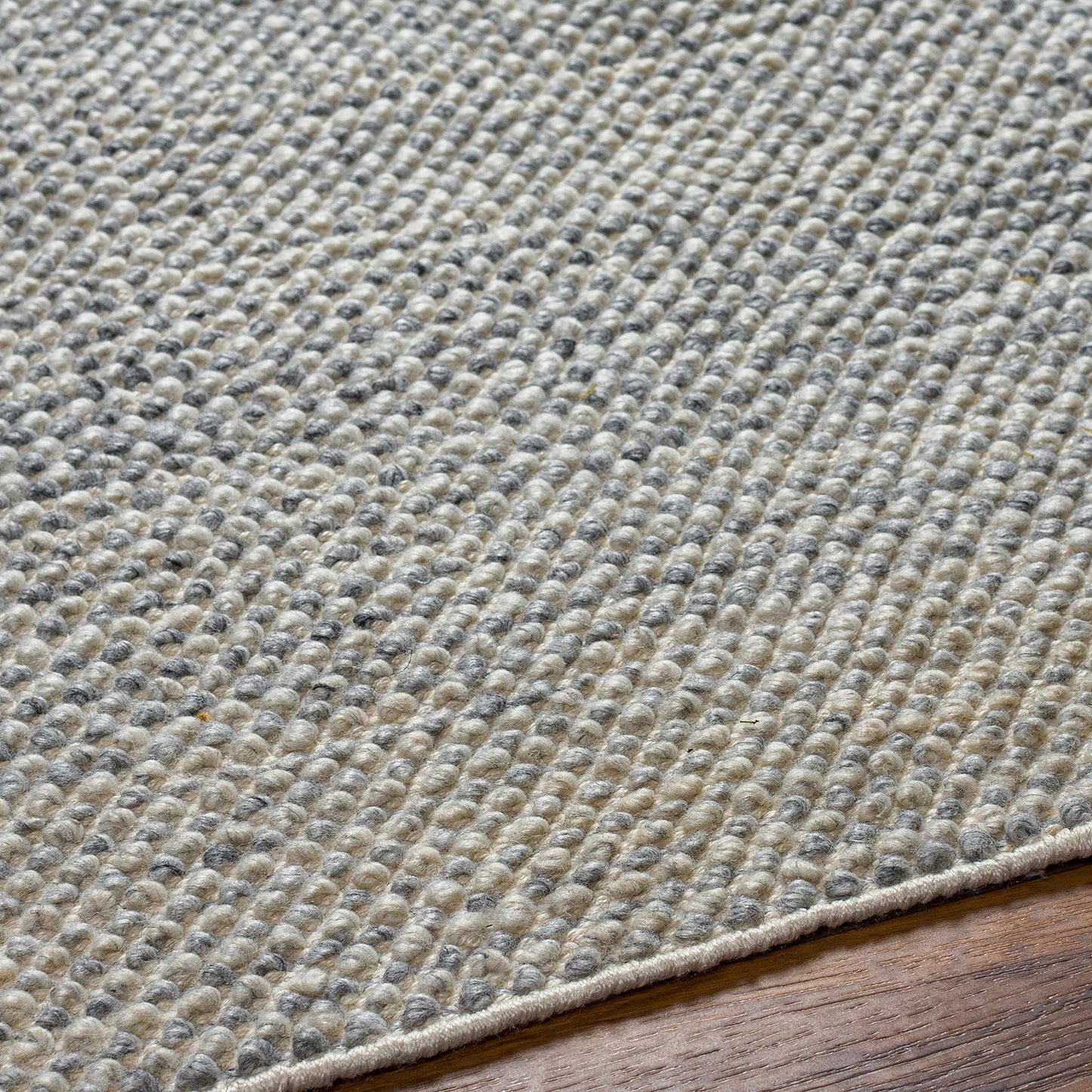 Hauteloom Alfie Recycled Material Living Room, Bedroom Area Rug - Contemporary - Light Gray, Cloud Gray, Eggplant - 2' x 3'