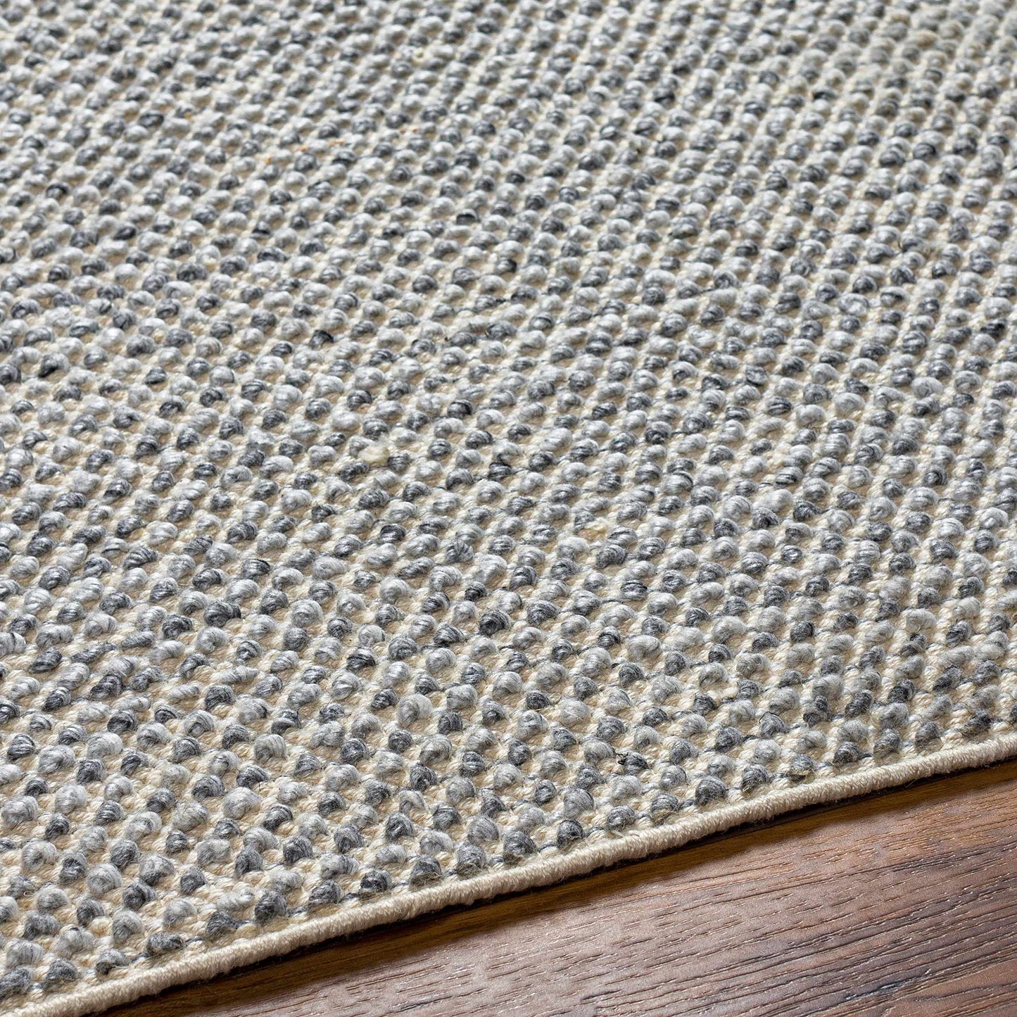 Hauteloom Kala Recycled Material Living Room, Bedroom Area Rug - Contemporary - Light Gray, Cloud Gray, Dark Gray - 2' x 3'