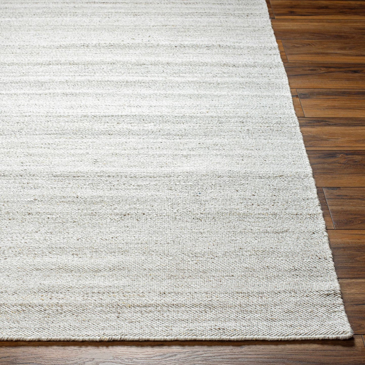 Hauteloom Amrit Recycled Material Living Room, Bedroom Area Rug - Contemporary - Light Gray, Cloud Gray, Multi Brown - 2' x 3'